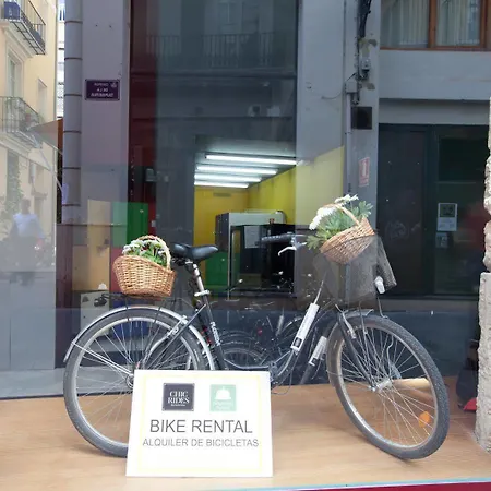 Cosy Tapineria Pensionat Valencia